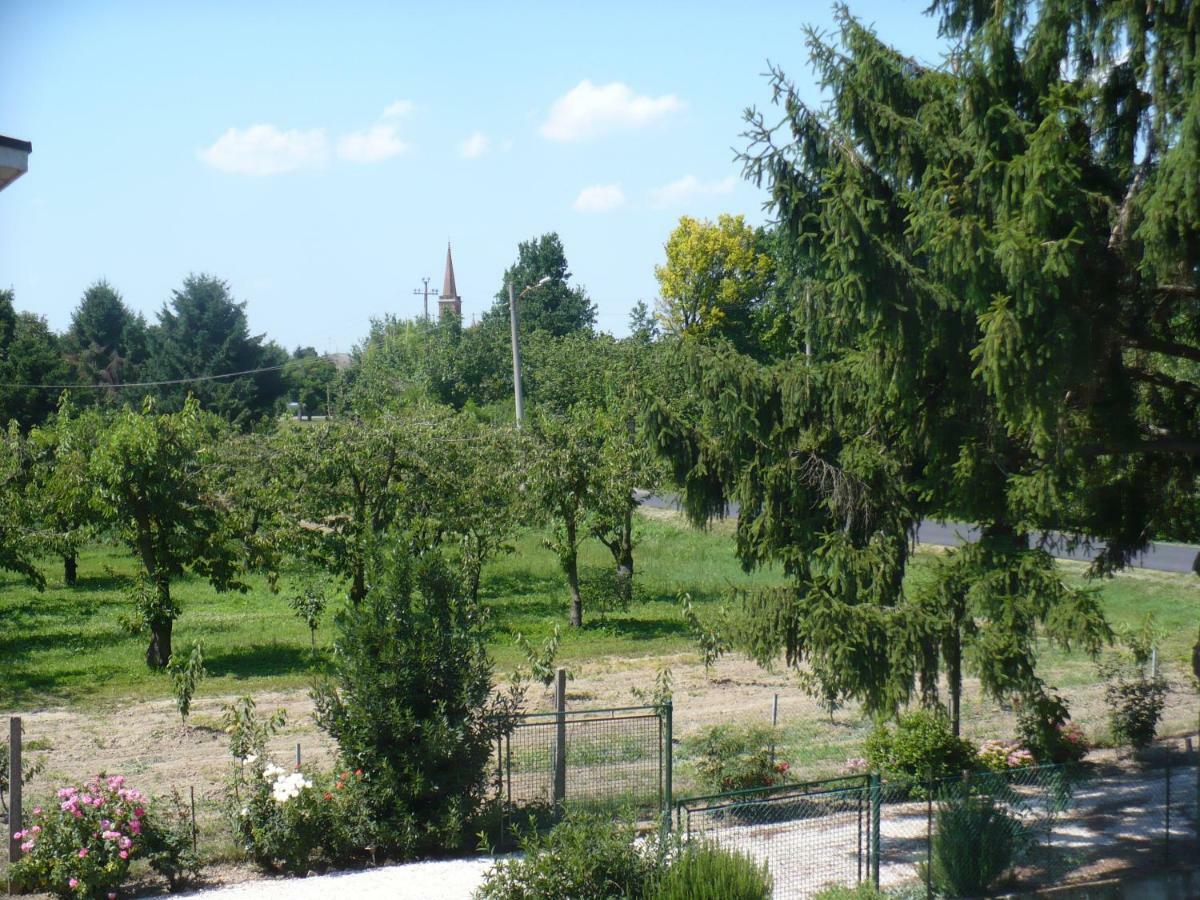 L'Albero Della Gioia Bed & Breakfast Villanova sull'Arda Eksteriør bilde