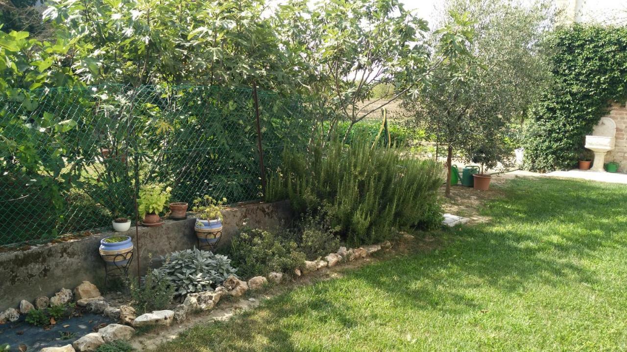 L'Albero Della Gioia Bed & Breakfast Villanova sull'Arda Eksteriør bilde